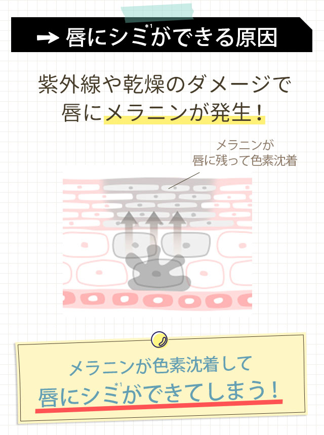 シミの原因はメラニン