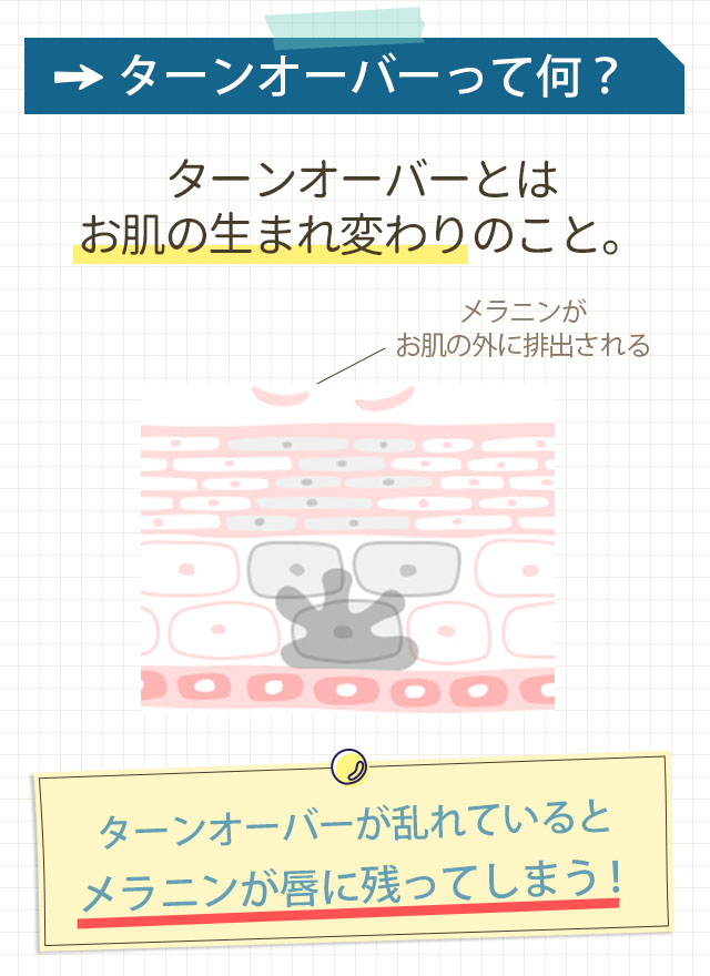 ターンオーバー