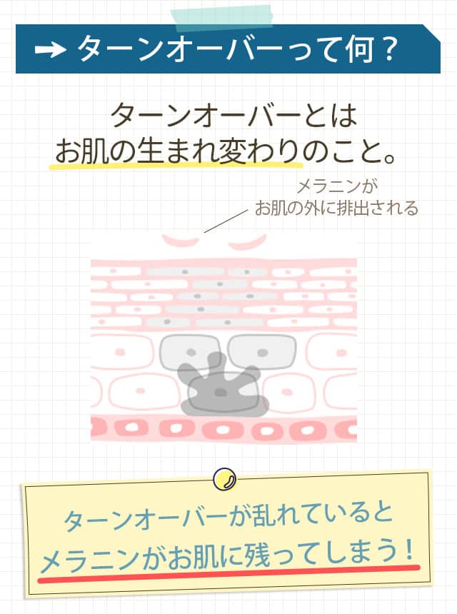 ターンオーバーって何？