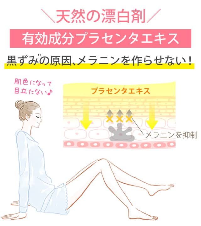 プラセンタ